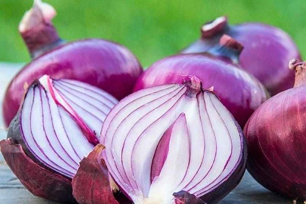 تصویر 2 از قیمت پیاز قرمز بناب + خرید باور نکردنی